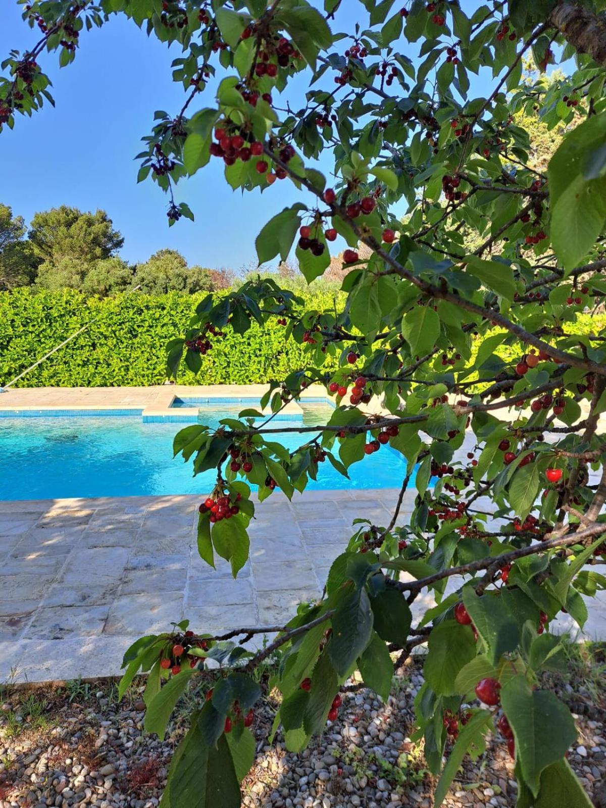 Trulli Gianfelice Villa Martina Franca Exterior photo